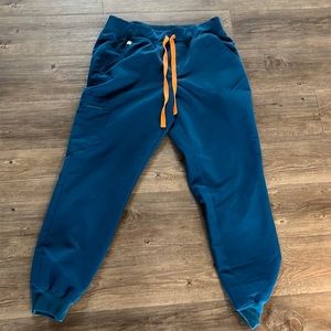 Deep reef blue figs Zamora jogger pants. Smoke and pet free home. Used mildly.